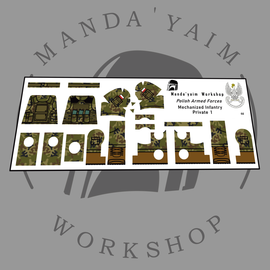 Polish Armed Forces mechanized infantry private 1